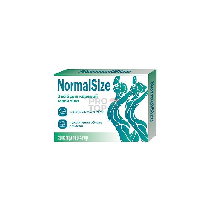 「 NormalSize 」