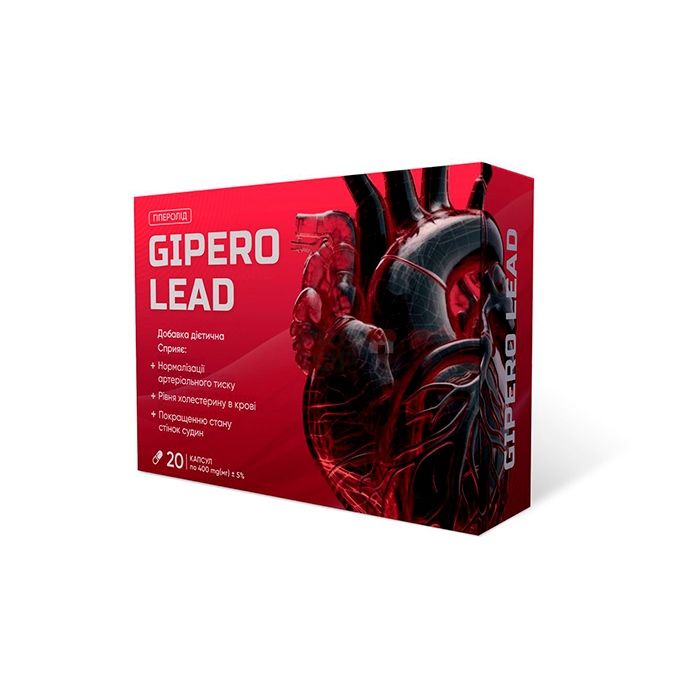 「 Gipero Lead (Гиперо Лид) 」