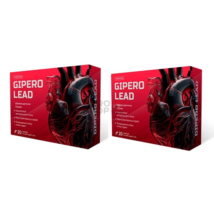 「 Gipero Lead (Гиперо Лид) 」