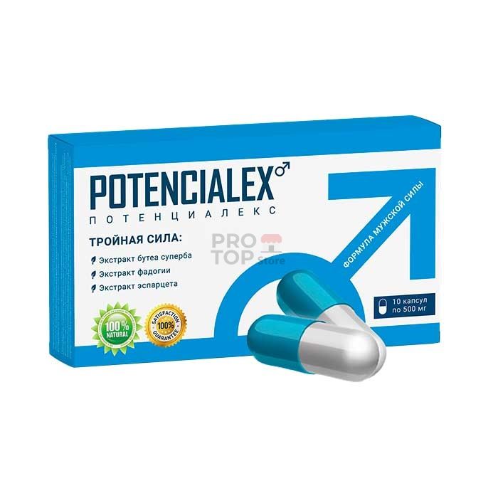 「 POTENCIALEX (Потенциалекс) 」