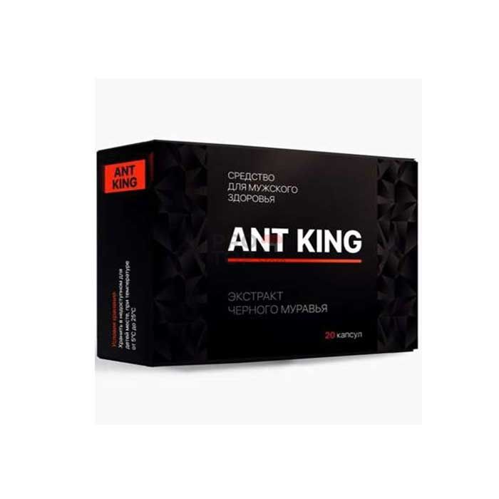 「 Ant King 」