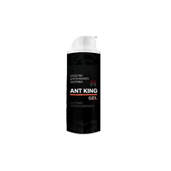 「 Ant King (Ант Кинг) 」